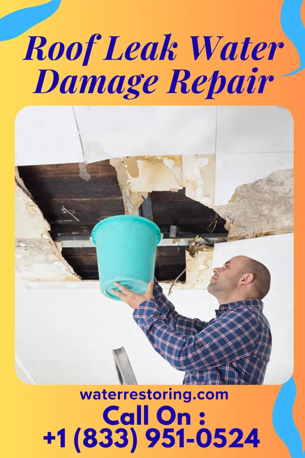 Roof Leak Water Damage Repair in Liberty, MS